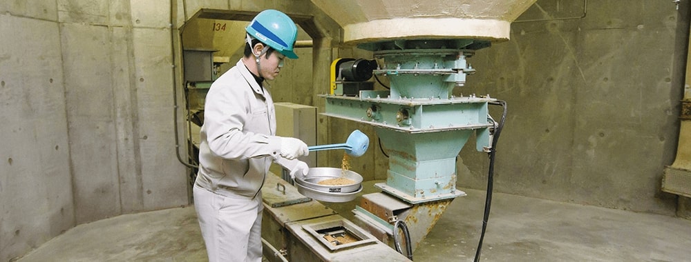 サイロビン下部より搬出の直前に穀物の状態を最終確認しています。